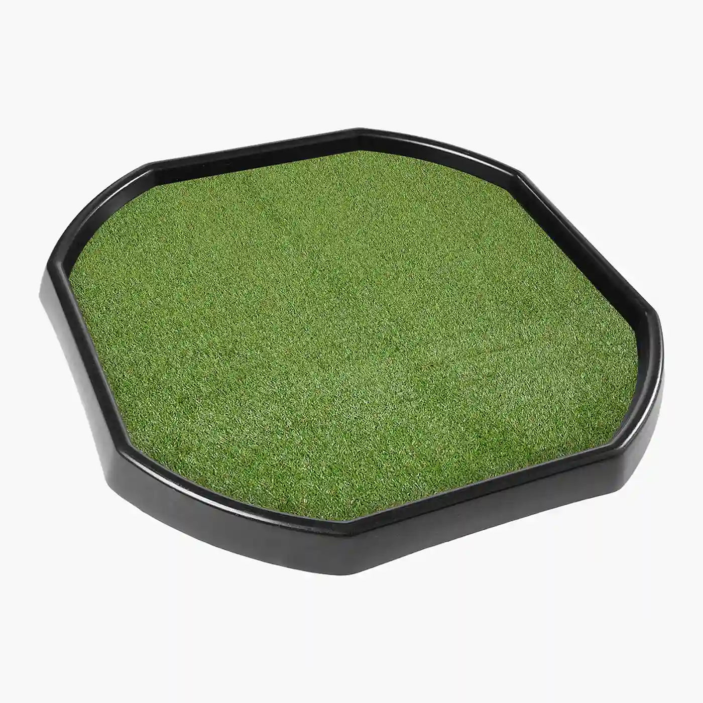 Tortoise Soaking Tray & Artificial Grass Bundle