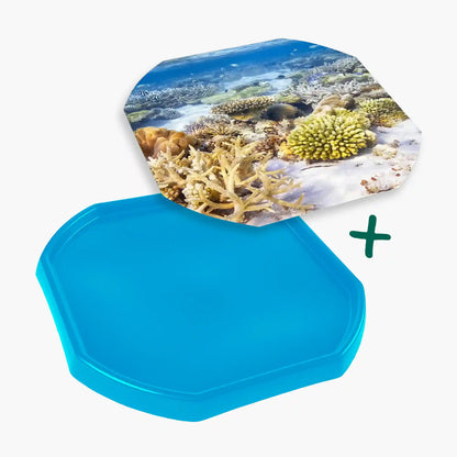 Tortoise Soaking Tray & Coral Reef Insert Bundle