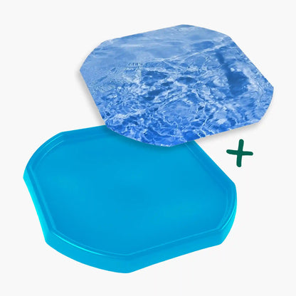 Tortoise Soaking Tray & Water Insert Bundle