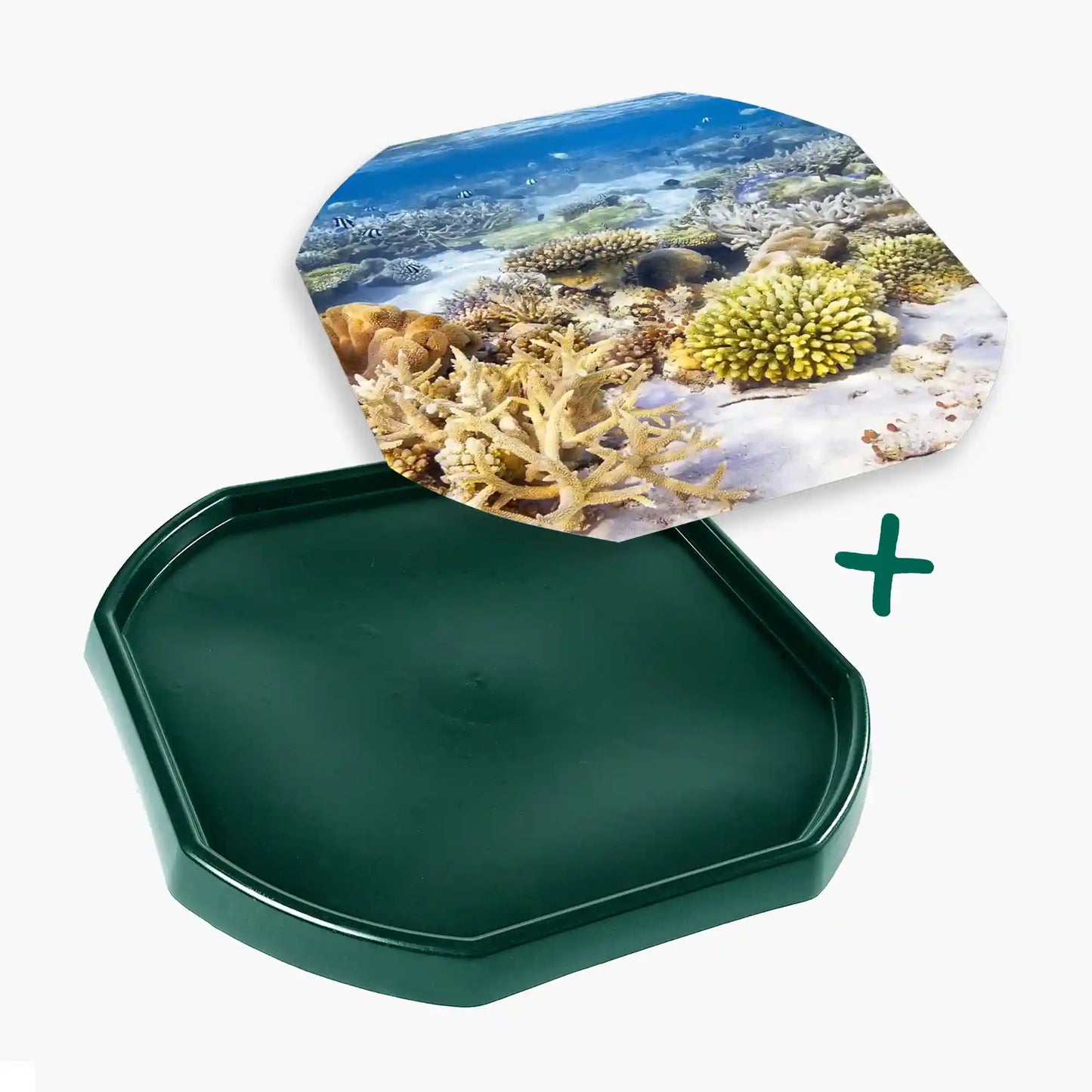 Tortoise Soaking Tray & Coral Reef Insert Bundle