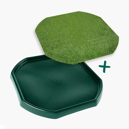 Tortoise Soaking Tray & Artificial Grass Bundle