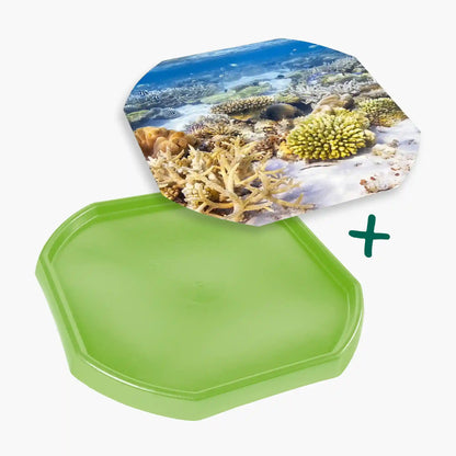 Tortoise Soaking Tray & Coral Reef Insert Bundle