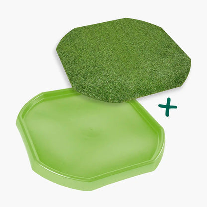Tortoise Soaking Tray & Artificial Grass Bundle