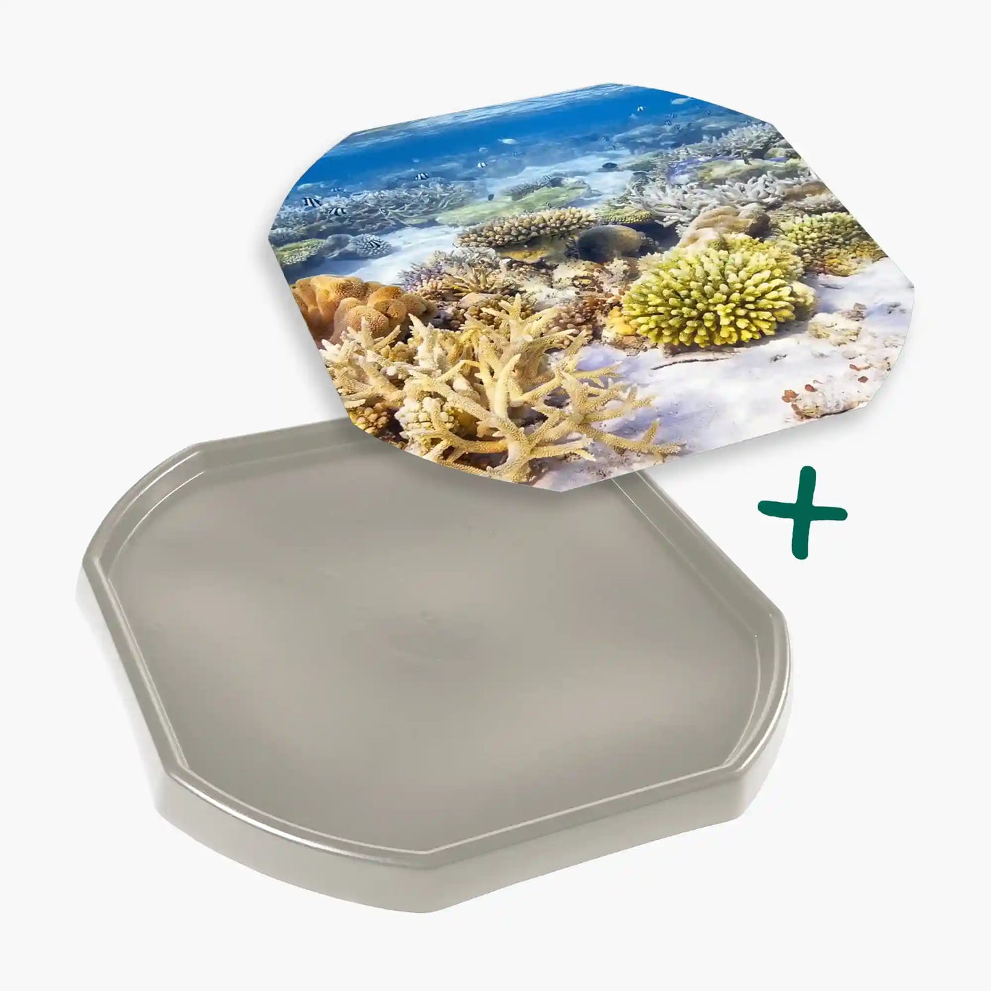 Tortoise Soaking Tray & Coral Reef Insert Bundle