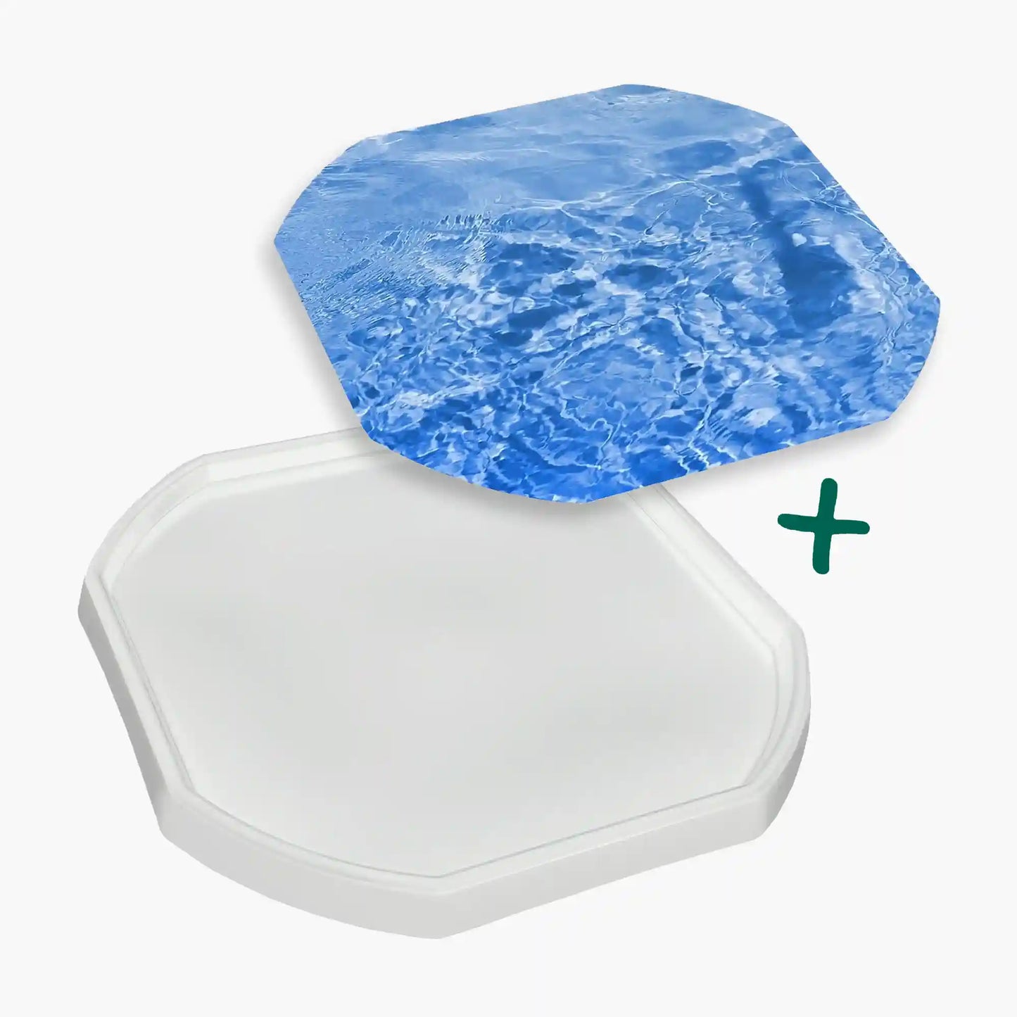 Tortoise Soaking Tray & Water Insert Bundle