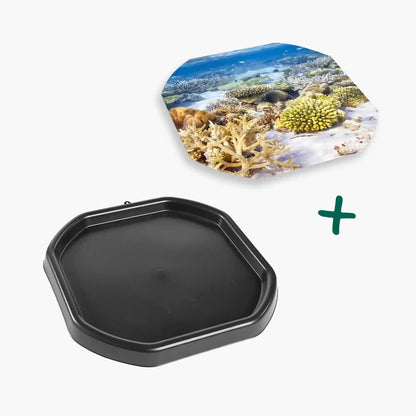 Tortoise Soaking Tray & Coral Reef Insert Bundle