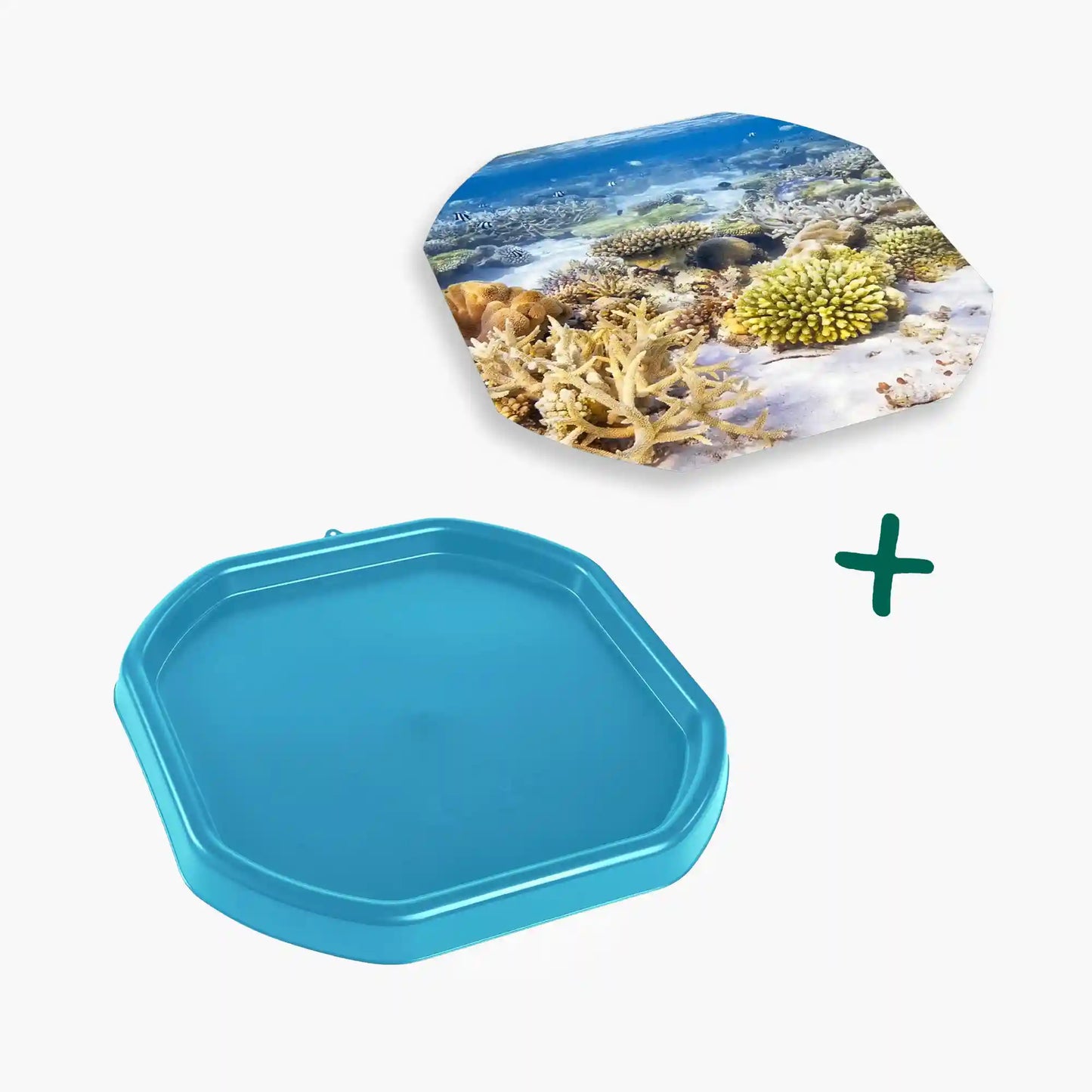 Tortoise Soaking Tray & Coral Reef Insert Bundle
