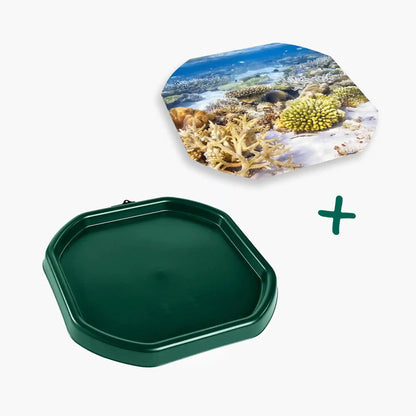 Tortoise Soaking Tray & Coral Reef Insert Bundle