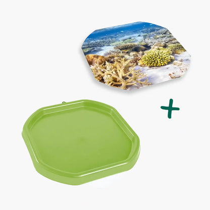 Tortoise Soaking Tray & Coral Reef Insert Bundle