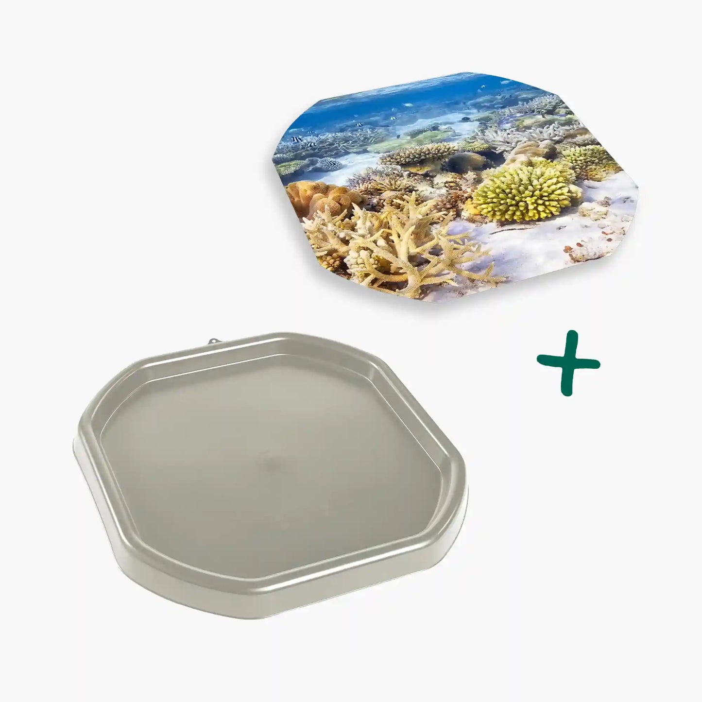Tortoise Soaking Tray & Coral Reef Insert Bundle