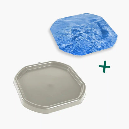 Tortoise Soaking Tray & Water Insert Bundle
