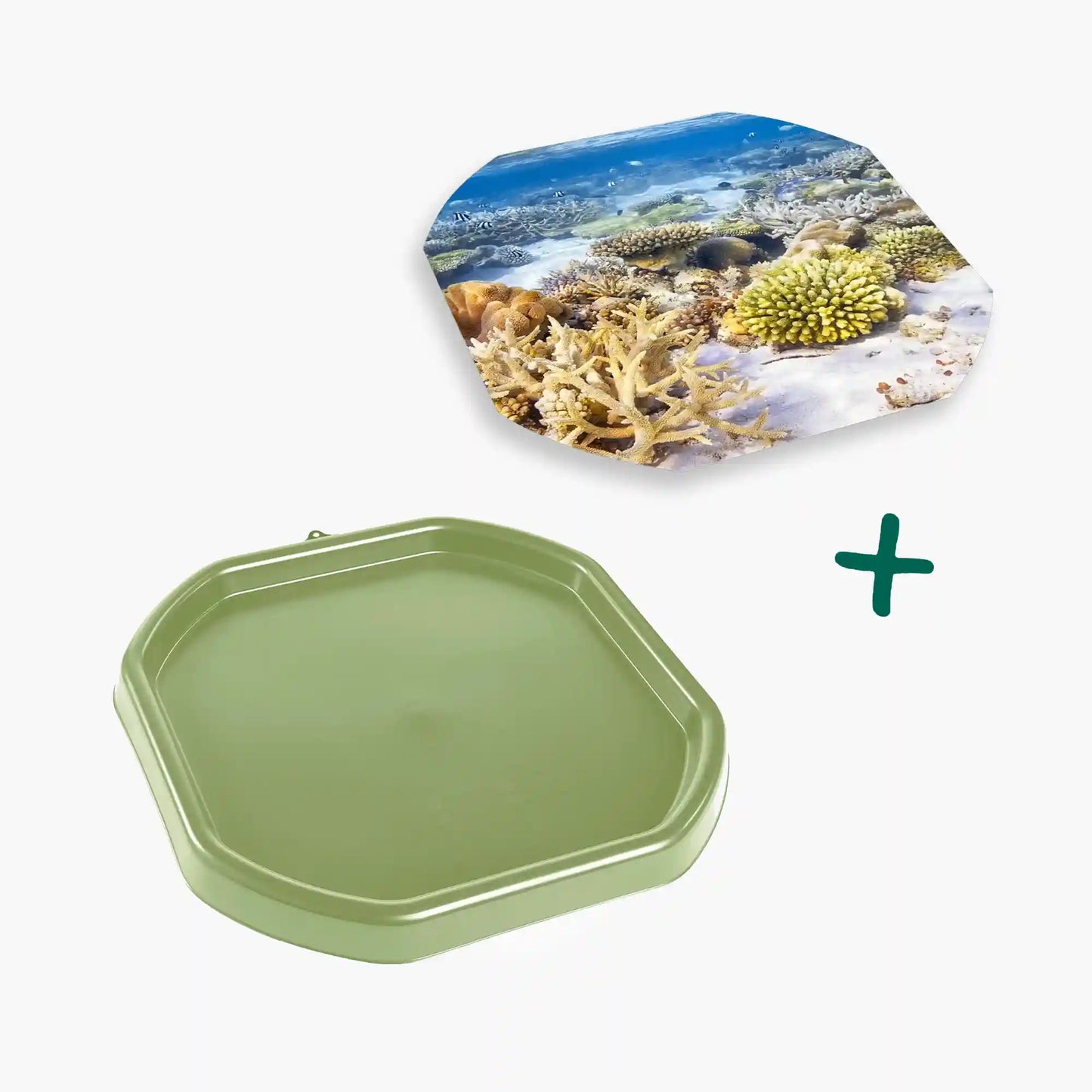 Tortoise Soaking Tray & Coral Reef Insert Bundle
