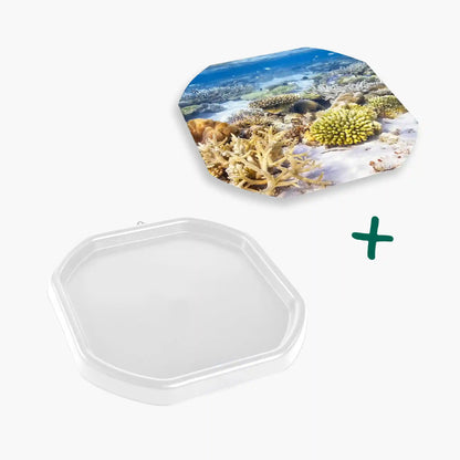 Tortoise Soaking Tray & Coral Reef Insert Bundle