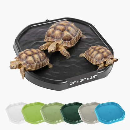 Tortoise Soaking Tray