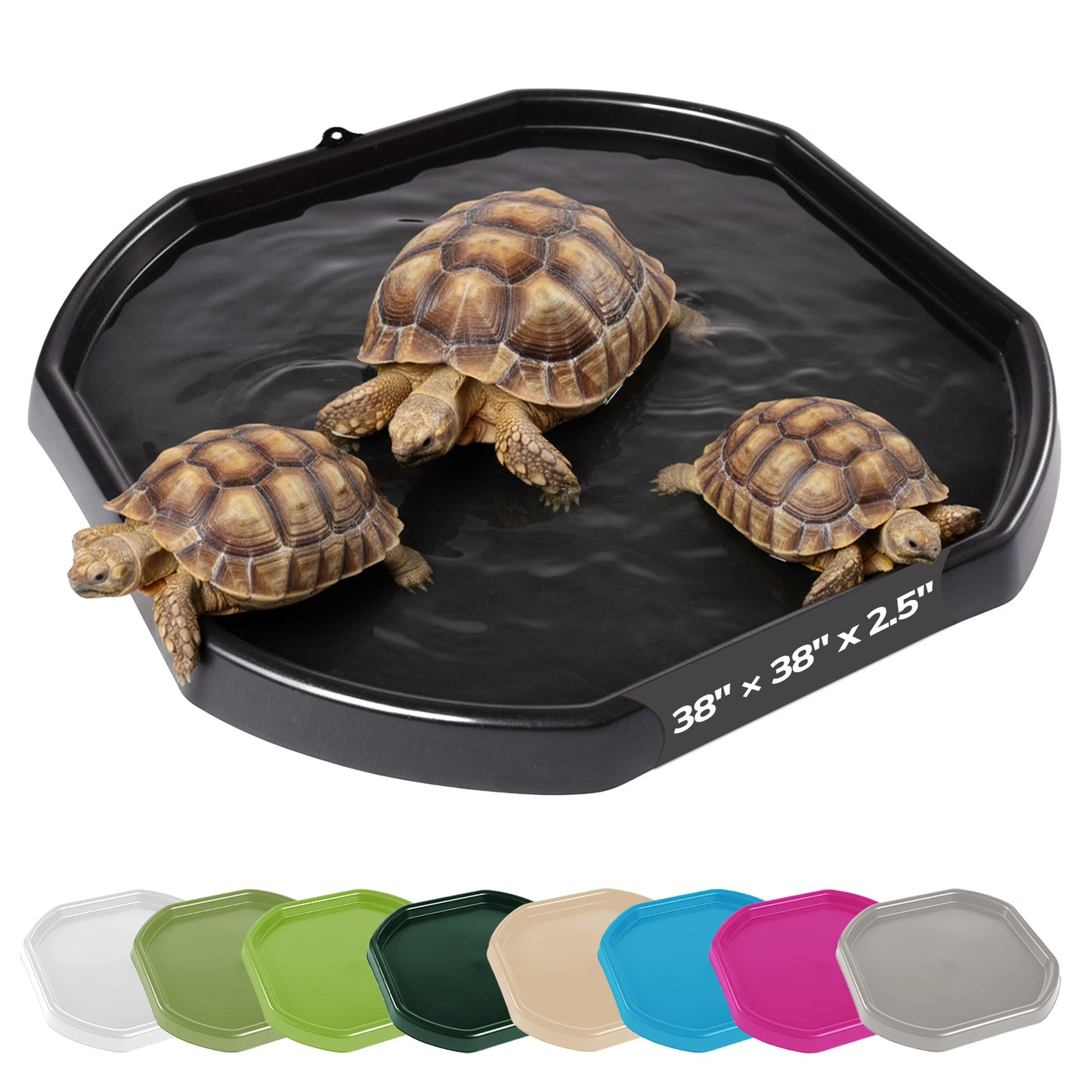 Tortoise Soaking Tray