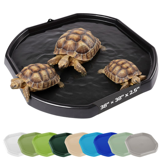 Tortoise Soaking Tray