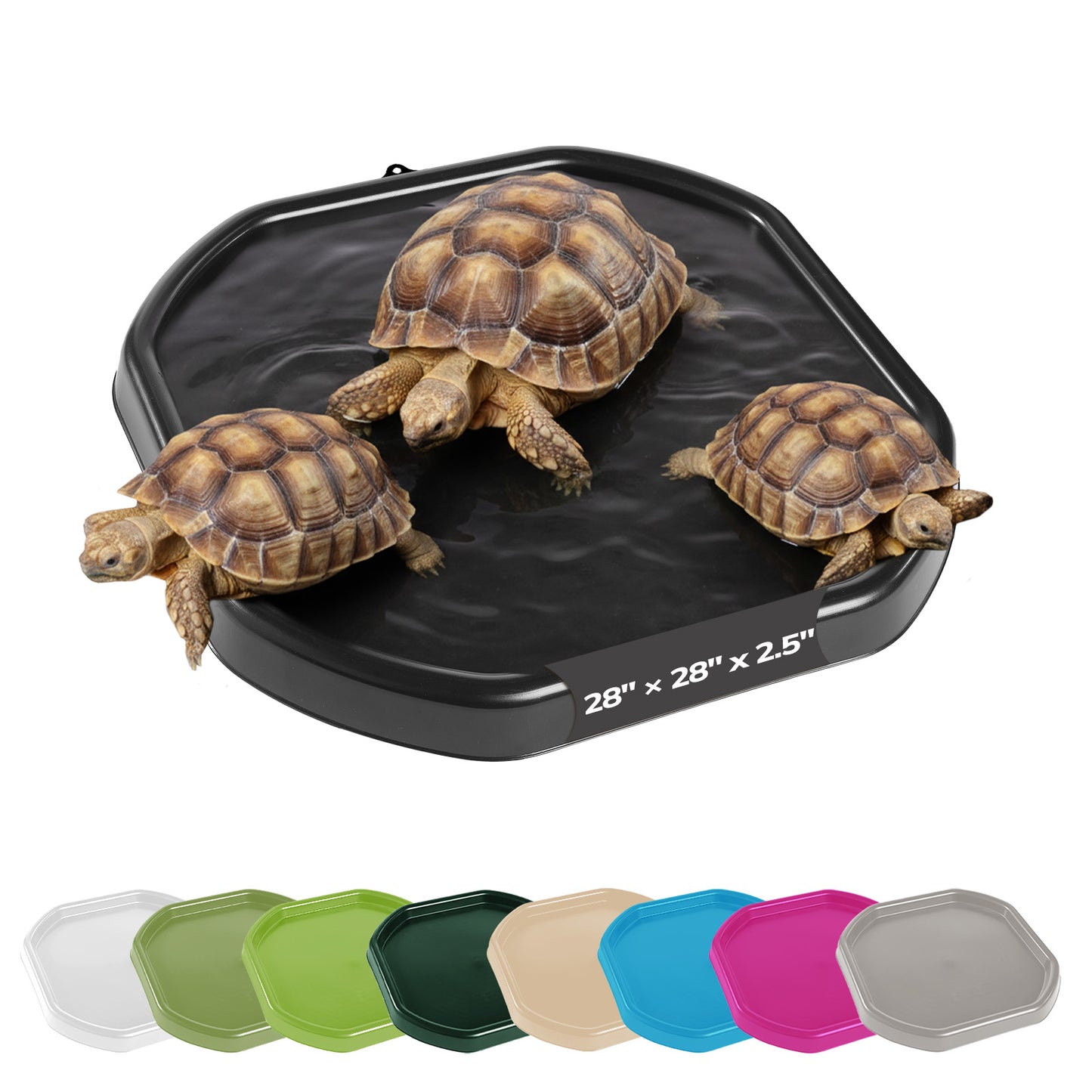 Tortoise Soaking Tray